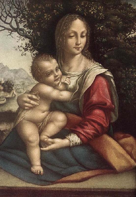 Cesare da Sesto Madonna and Child Spain oil painting art